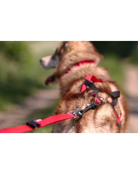 Harnais Regular Léger+ X-Back - KIIR-O