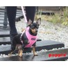Harnais Puppia Soft