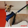 Harnais Puppia Soft