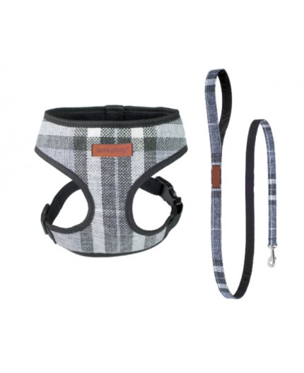 Harnais + Laisse Scout London