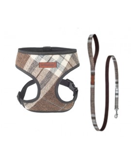 Harnais + Laisse Scout London
