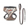 Harnais + Laisse Scout London