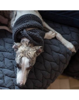 Col roulé en laine Necky - Hortensia, Tournesol, Anthracite