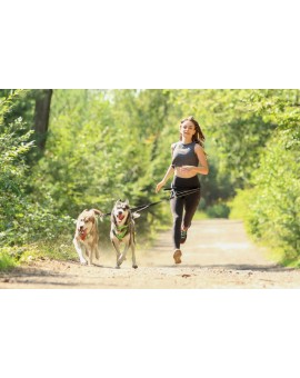 Ceinture Canicross Confort PROFESSIONNELLE