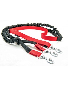 Laisse CANICROSS double amortisseur extensible 2m