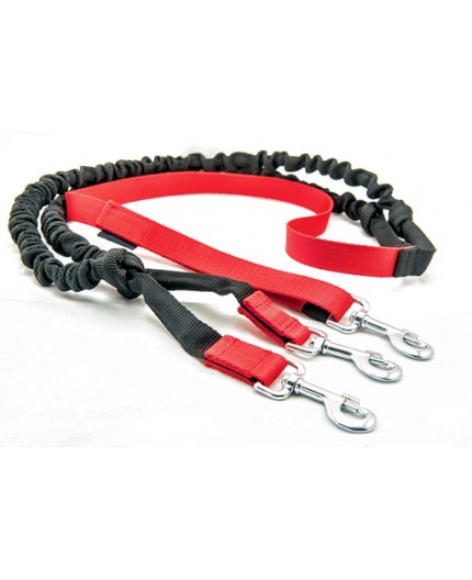 Laisse CANICROSS double amortisseur extensible 2m