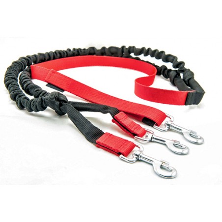 Laisse CANICROSS double amortisseur extensible 2m