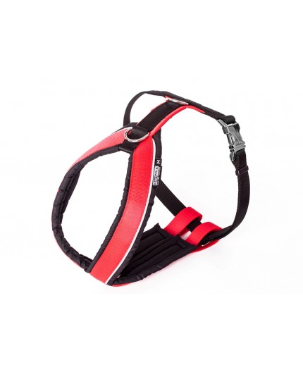 Harnais Sport Cross pour cani-jogging IQB