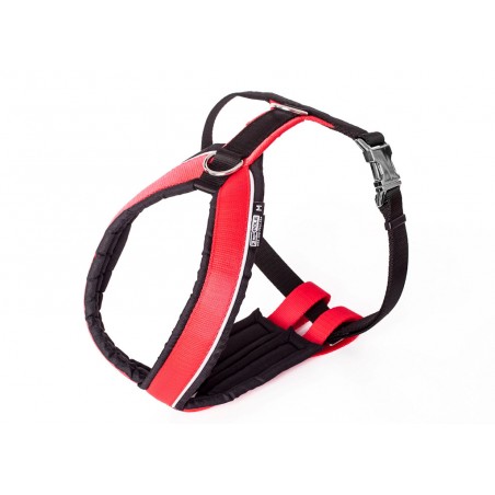 Harnais Sport Cross pour cani-jogging IQB