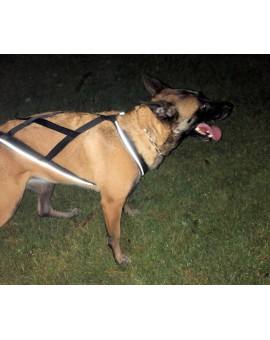 Harnais Regular X-Back pour chien