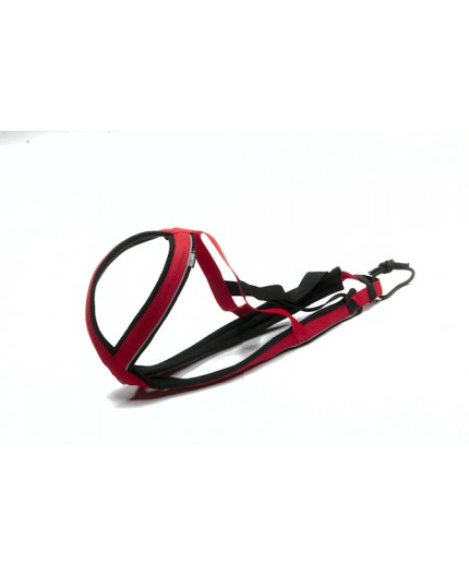 Harnais Regular X-Back pour chien