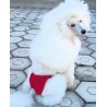 Culotte Hygiénique de Protection pour Chienne Chatte Chat Chiot