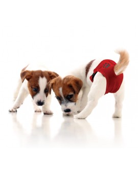 Culotte Hygiénique de Protection pour Chienne Chatte Chat Chiot