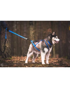 Harnais Regular Léger+ X-Back - KIIR-O