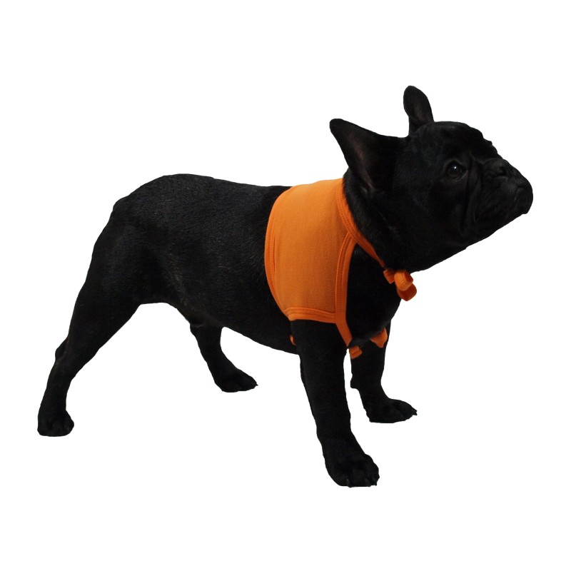 Epaullier - pansement des épaules chien, chat