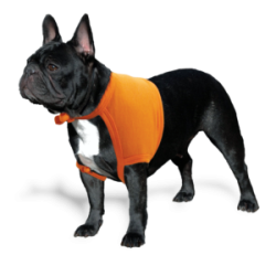 Epaullier - pansement des épaules chien, chat