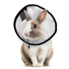 Collerette, Cône de récupération et Protection pour Lapin, Petit Chat - Réglable Plastique Souple Doux Clair
