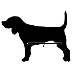 T-shirt postopératoire