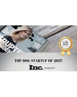 Pull en laine - Tournesol