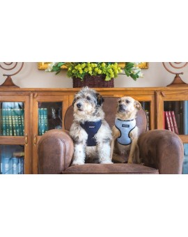 Harnais cotton Scout Denver Noir