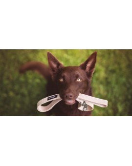 Laisse réglable 6 in 1 Coton S