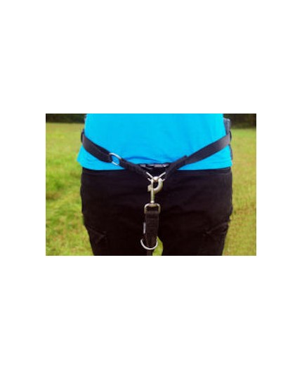 Ceinture ventrale Click&Run de promenade, jogging avec chien