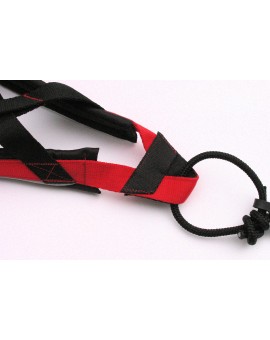 Harnais Regular X-Back pour chien