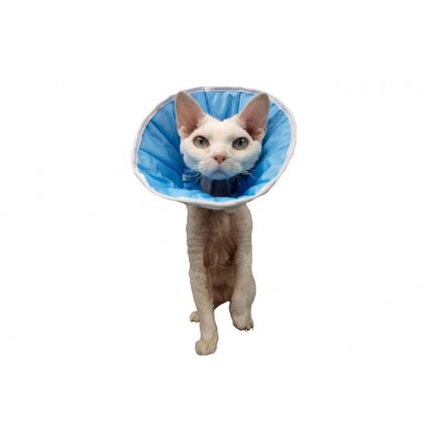 Collerette de cicatrisation