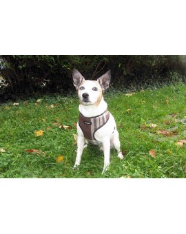 Harnais Scout London marron/gris