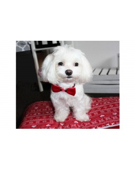 Collier avec nœud papillon de Noël