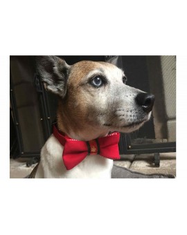 Collier avec Nœud papillon de Noel