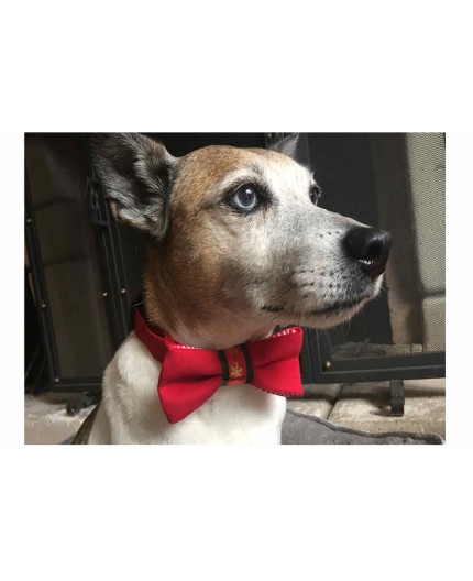 Collier avec Nœud papillon de Noel