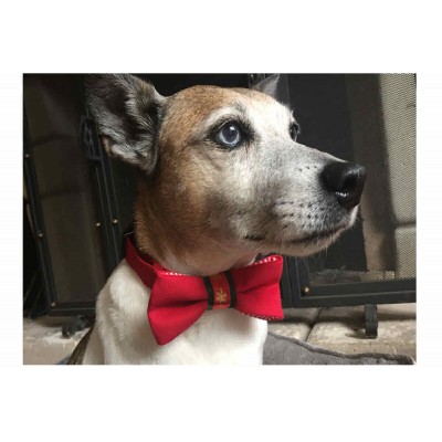 Collier avec Nœud papillon de Noel