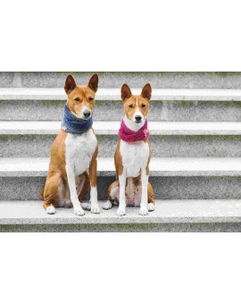 Col roulé en laine Necky - Hortensia, Tournesol, Anthracite