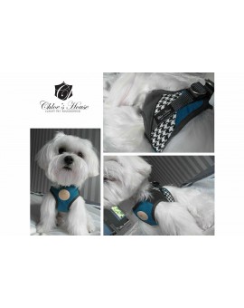 Harnais et laisse glamour blue
