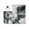 Harnais et laisse glamour blue