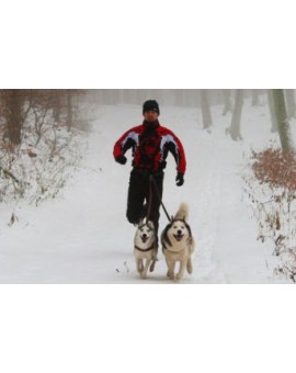 Laisse CANICROSS double amortisseur extensible 2m