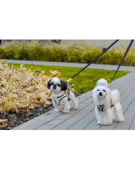 Harnais Soho avec laisse bleu-marine