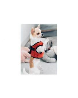 Harnais Soho avec laisse bleu-marine