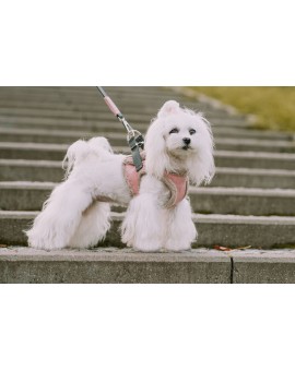 Harnais d'hiver Yeti avec laisse rose