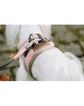 Harnais d'hiver Yeti avec laisse rose