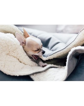 Lit / couverture pour chien