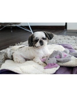 Lit / couverture pour chien