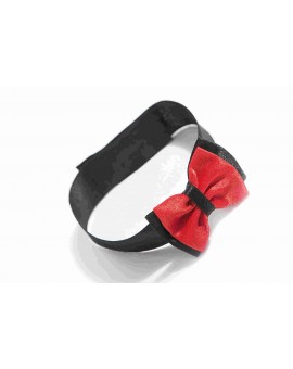 Noeud papillon rouge Scot